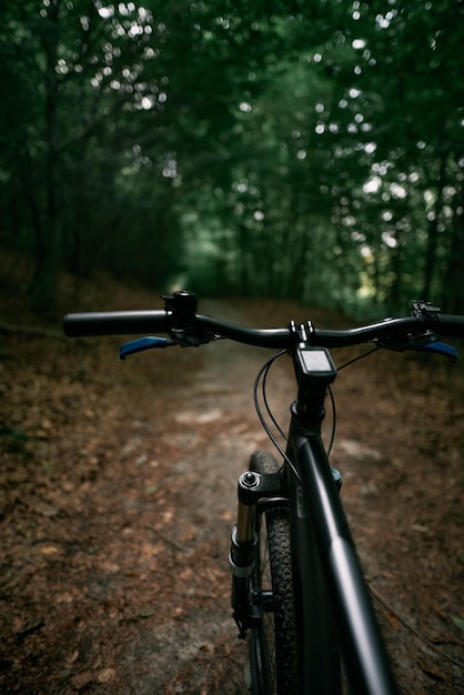 Firstperson view cycling in the forest Closeup of a mountain bike handlebar Summertime outdoor leisure sport activity concept