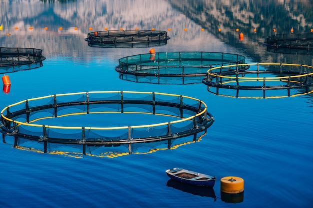 Fish farm in montenegro the farm for breeding and fish farming