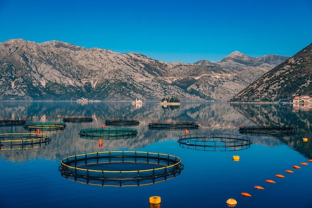 Fish farm in montenegro the farm for breeding and fish farming