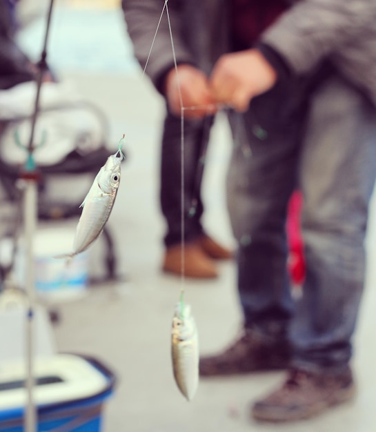 Photo fish hanging from string by men