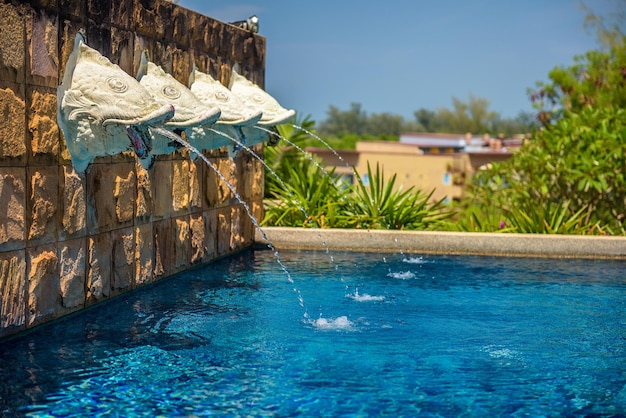 Fish head statues serving as fountains at a swimming pool in Thailand