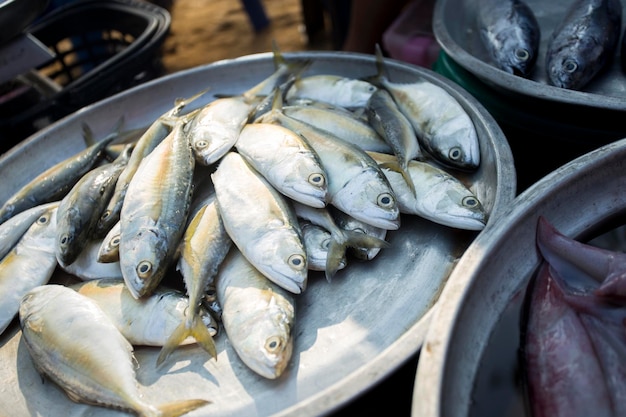 Fish stall at a beach market in Sichon provice in southern Thailand