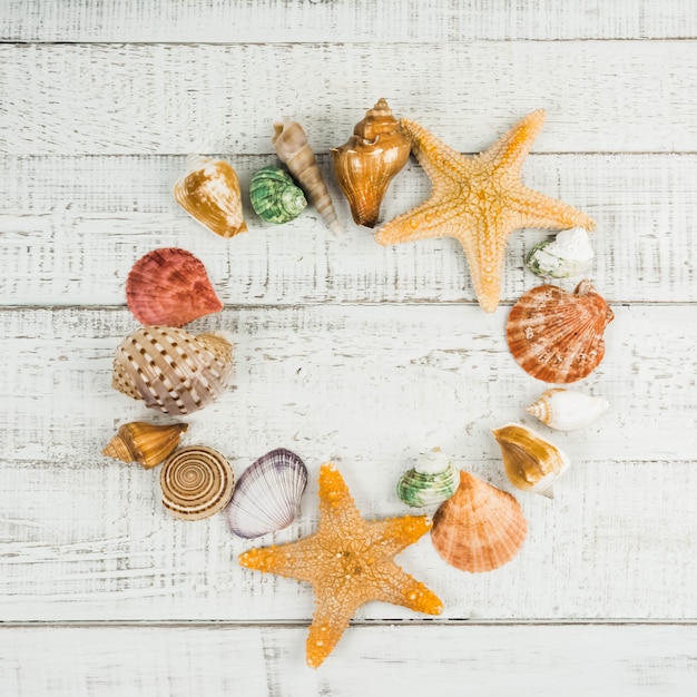 fish star and sea shells on the wooden background