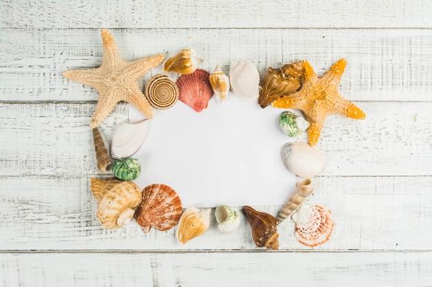 Photo fish star and sea shells on the wooden background