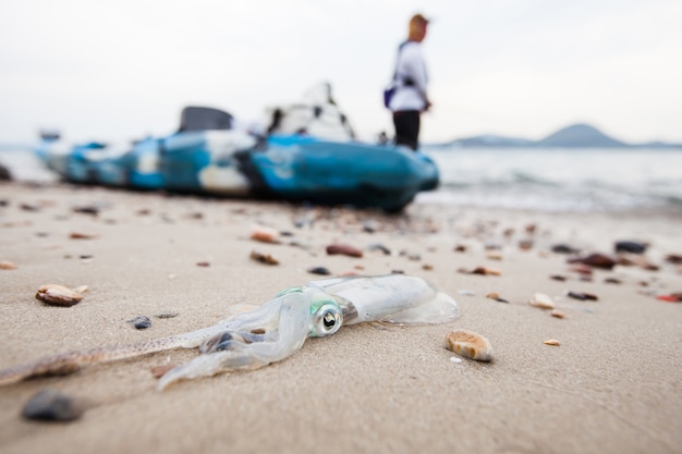 Photo fisherman and squid on the beach