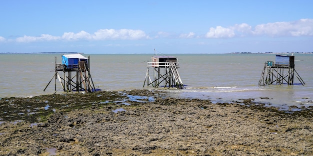 Fisherman wooden hut in gironde river SaintPalaissurMer france