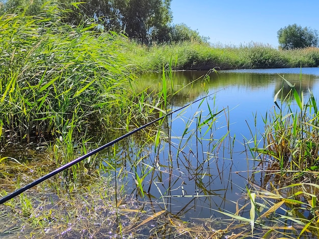 Fishing rod in front of the lake in sunny summer day. Fishing.