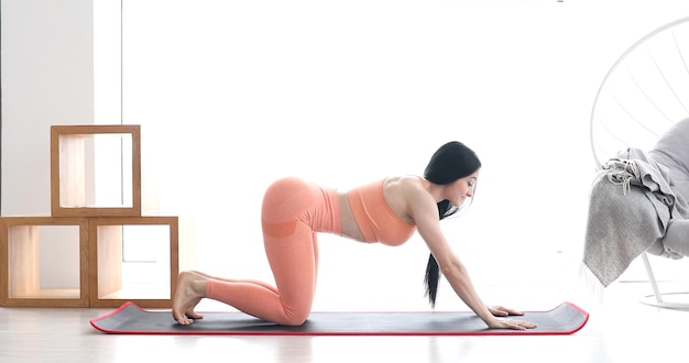 Fit woman doing plank exercise, workout at home.