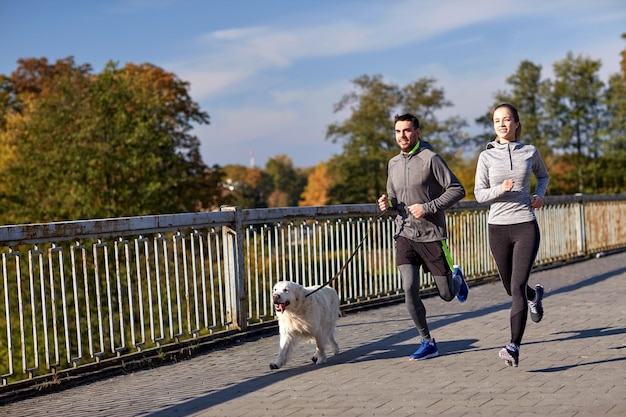 fitness, sport, people and lifestyle concept - happy couple with dog running outdoors