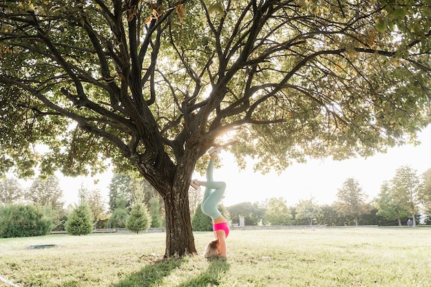 Fitness stretching exercises before workout Sports girl stands on her head near a tree in the park