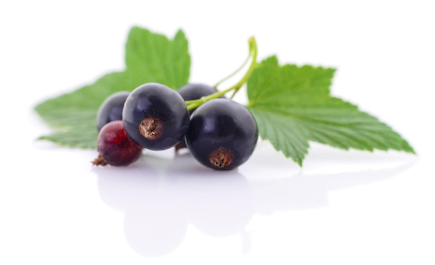 Five black currants