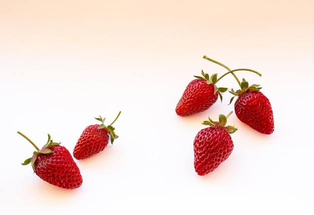 Five organic strawberries isolated in white background with text space