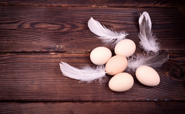 Five raw chicken eggs with feathers 