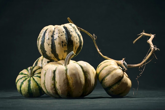 Five striped decorative pumpkins on a dark background