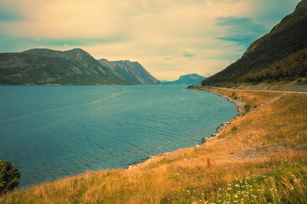 Fjord on a cloudy day Rocky seashore in the evening Beautiful nature of Norway Picturesque Scandinavian landscape Lofoten islands Norway