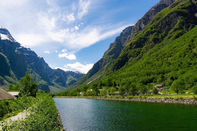 Fjord surrounded by green trees and high mountains in Norway