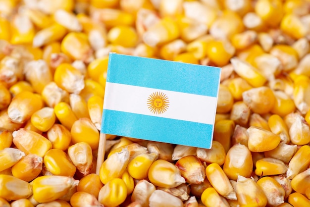 Flag of Argentina on corn