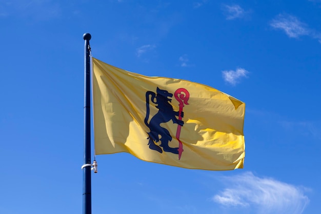 Flag of the bishopric of Leon