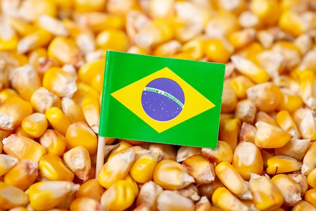 Flag of Brazil on corn grain