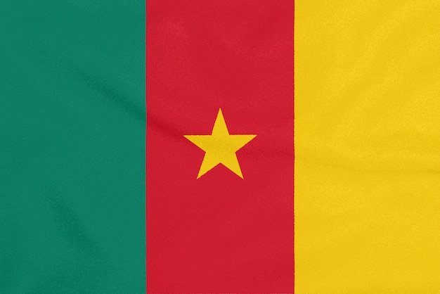 Flag of Cameroon on textured fabric