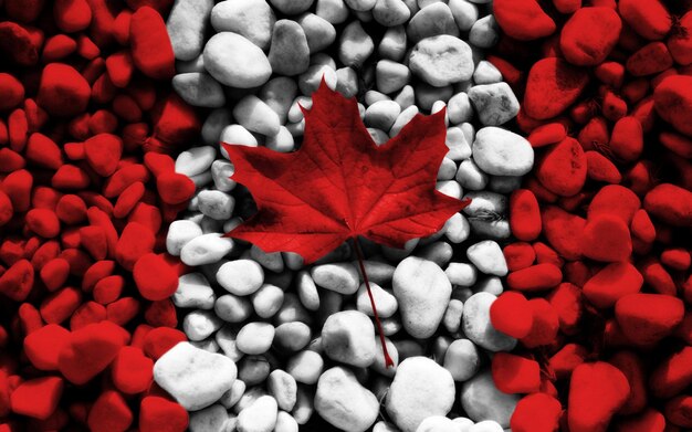 Flag of Canada II Canada Independence Day