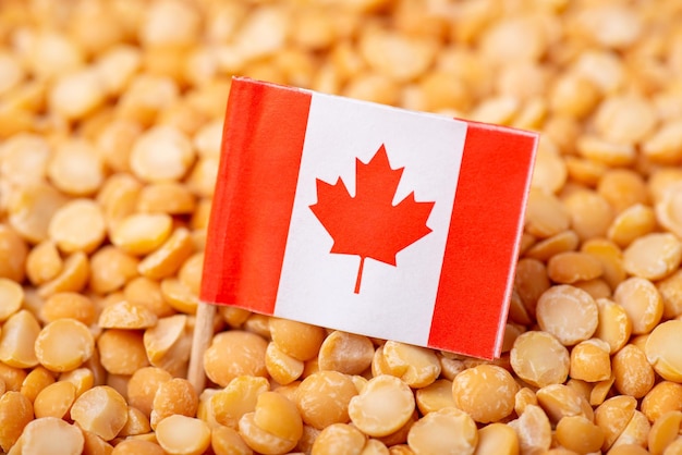 Flag of Canada on yellow dried peas