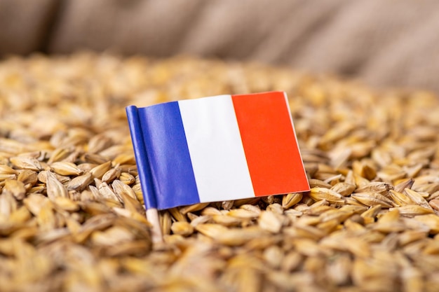 Flag of France on barley grain