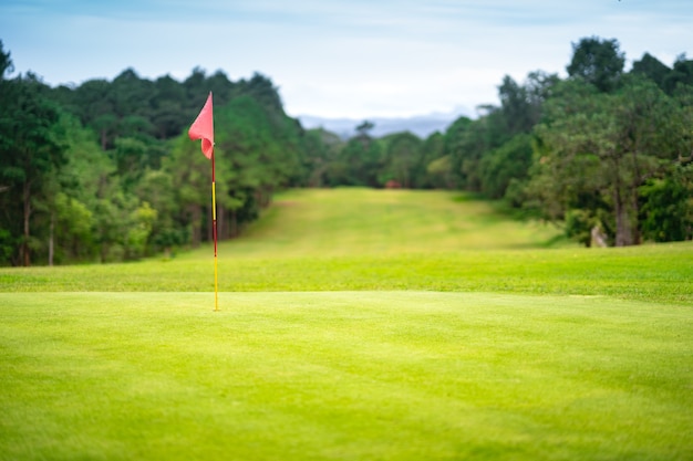 flag in hole on beautiful golf course