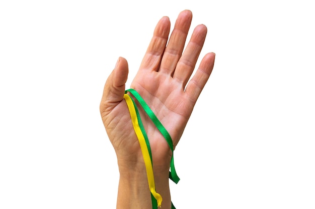 Flag and Independence Day Image Holding green and yellow ribbons of Brazil flag isolated on white background