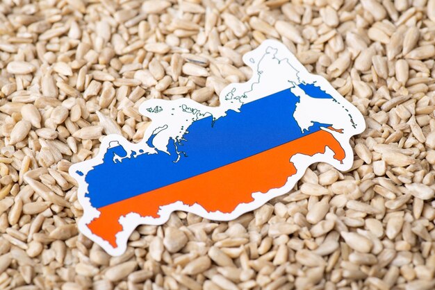 Flag and map of russia on peeled sunflower grain