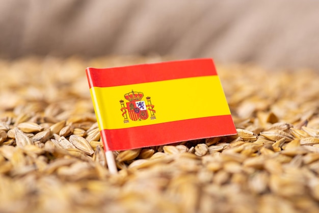 Flag of Spain on barley grain