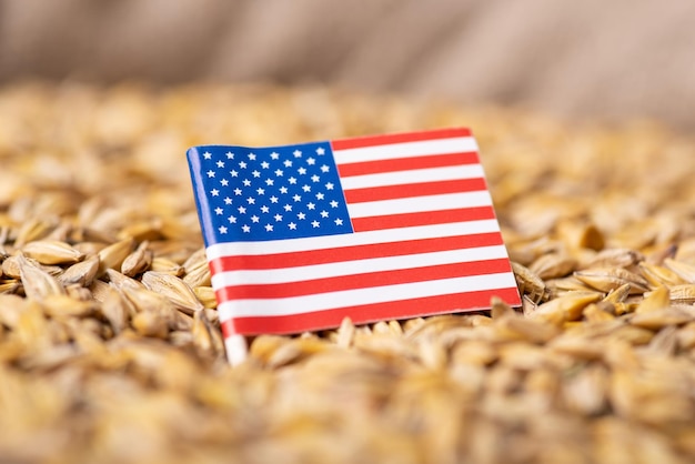 Flag of USA on barley grain