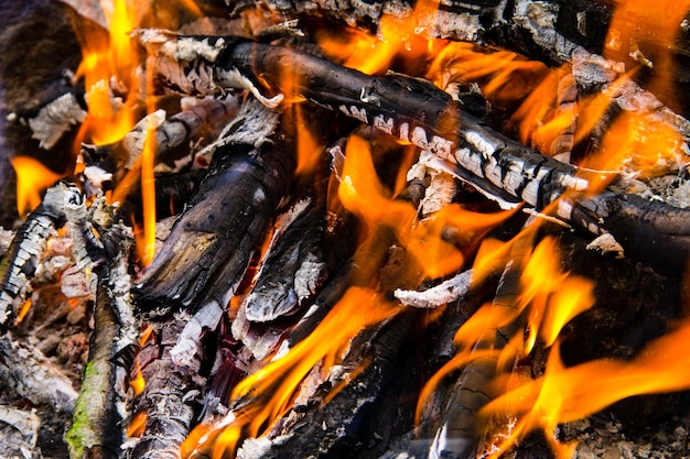 Flame of bonfire Burning firewood in the fireplace closeup