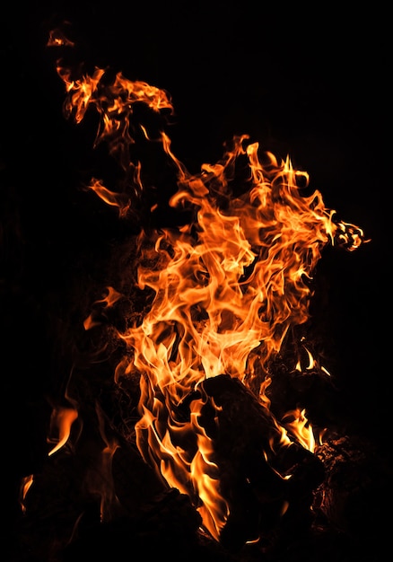 Flames of bonfire at night. Fire flames on a black background