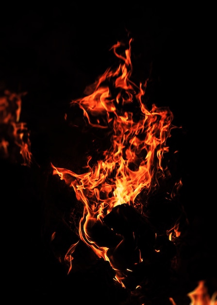 Flames of bonfire at night. Fire flames on a black background