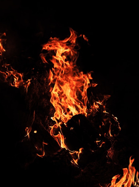 Flames of bonfire at night. Fire flames on a black background