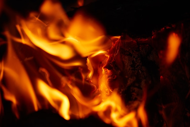 Flames of a burning log close-up