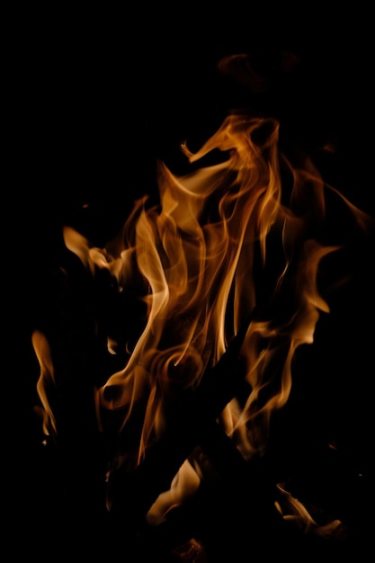 Flames closeup at night by the campfire