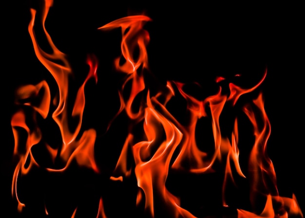 Flames of fire on a black background. Space for copy, text, your words