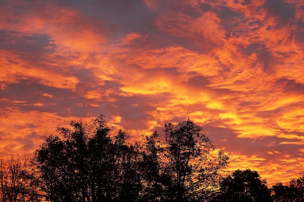 Flaming sky with orange clouds