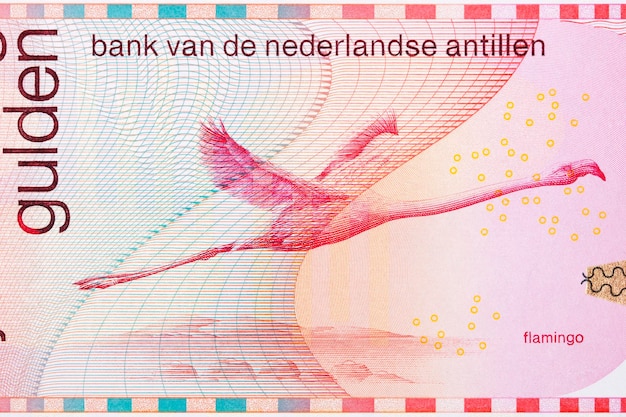 Flamingo from Netherlands Antillean money guilder