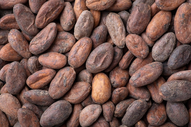 Flat background of cocoa beans