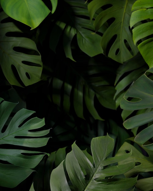 Flat lay 3d green palm leaves composition