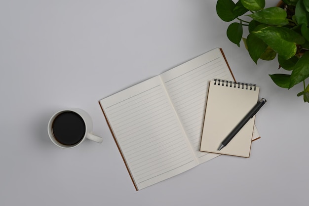 Flat lay blank notepads cup of coffee and houseplant on white office desk