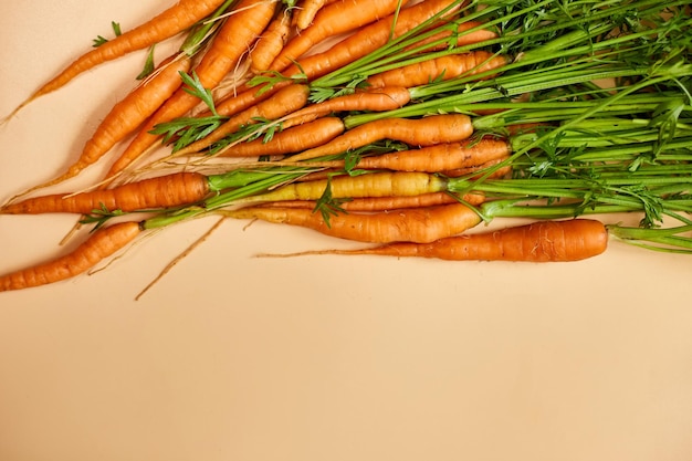 Flat lay bunch freshly picked carrots and carrot stalks