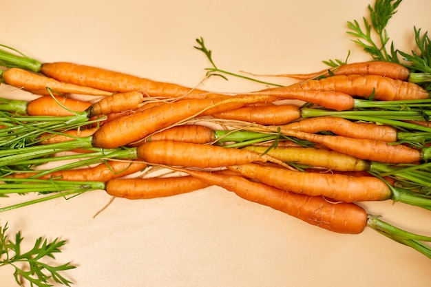 Flat lay bunch freshly picked carrots and carrot stalks