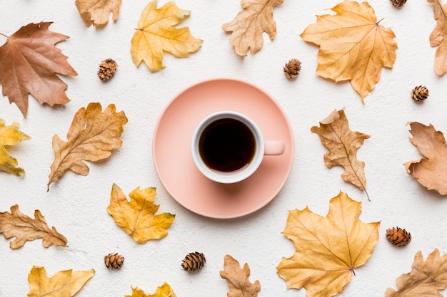 Flat lay composition with colorful Autumn cup of coffee and leaves on a color background top view