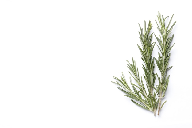 Flat lay composition with rosemary on white background, space for text