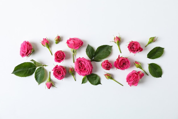 Flat lay composition with roses and petals