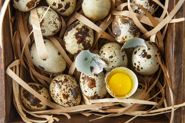 Flat lay composition with small quail eggs on the natural wooden